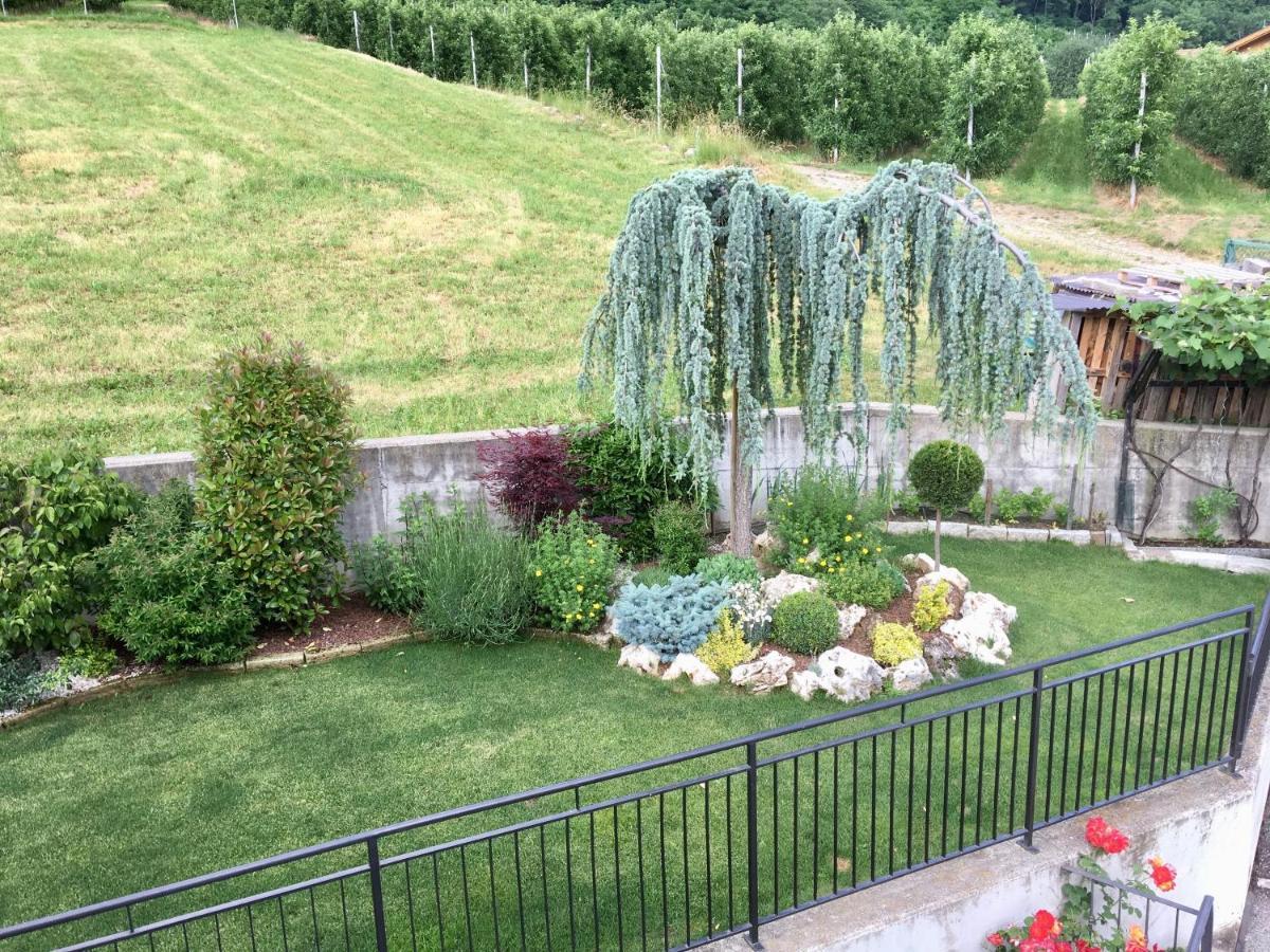 Mansarda Con Giardino Val Di Sole Trentino Apartment Terzolas Exterior photo